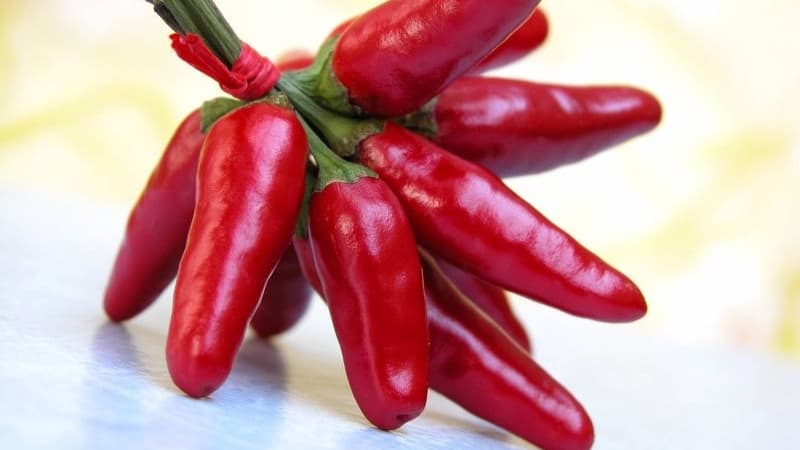 هل يلعب الفلفل الحار دورا في الإصابة بالتهاب البروستات