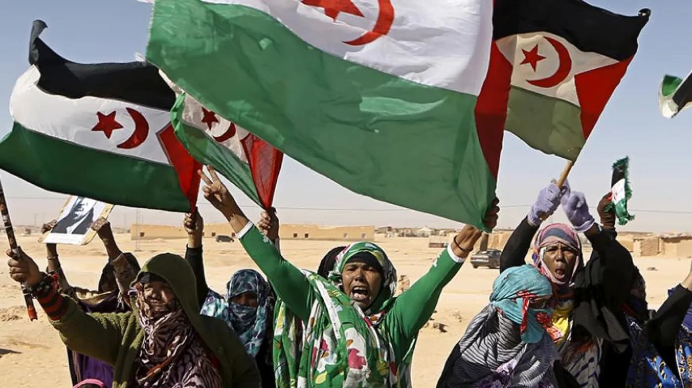 منسقة البرامج والتواصل: منظمة اللاعنف الدولية تجدد التزامها بتعزيز التضامن مع الشعب الصحراوي